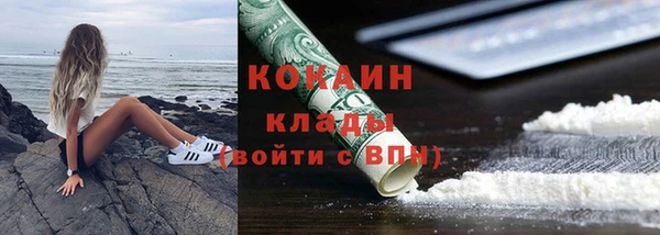 Альфа ПВП Бородино
