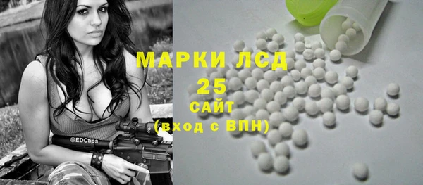 первитин Богородицк