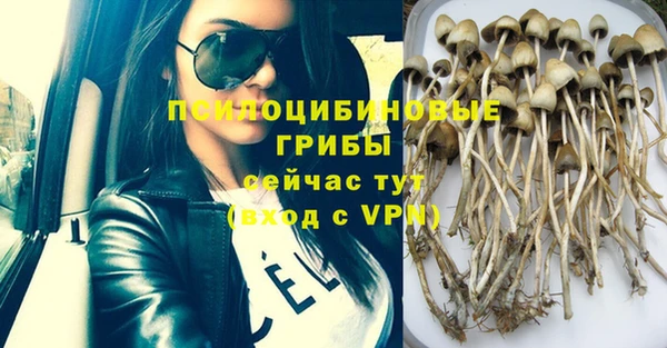 первитин Богородицк