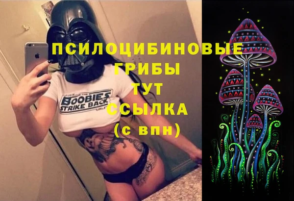 2c-b Бронницы