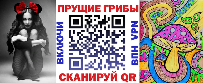 Галлюциногенные грибы ЛСД Старица
